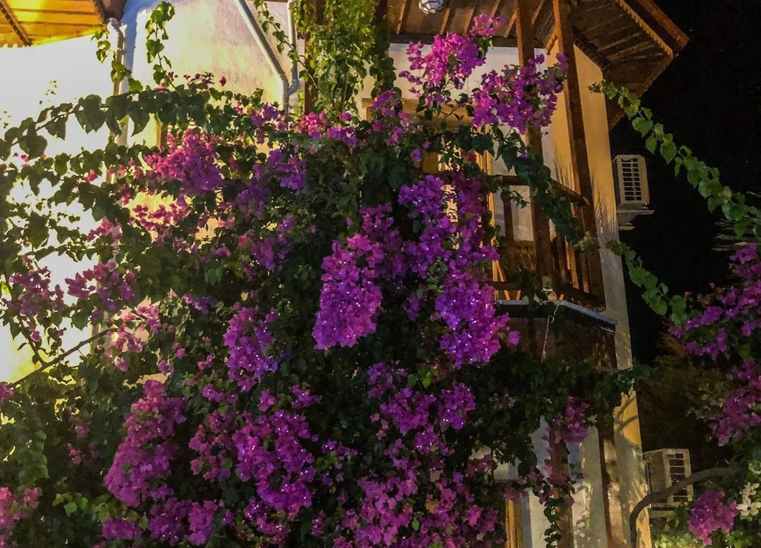Murat Pasha Mansion (Adults Only) Dalyan